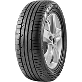 Шины Evergreen Dynacontrol ES880 225/45R19 96W